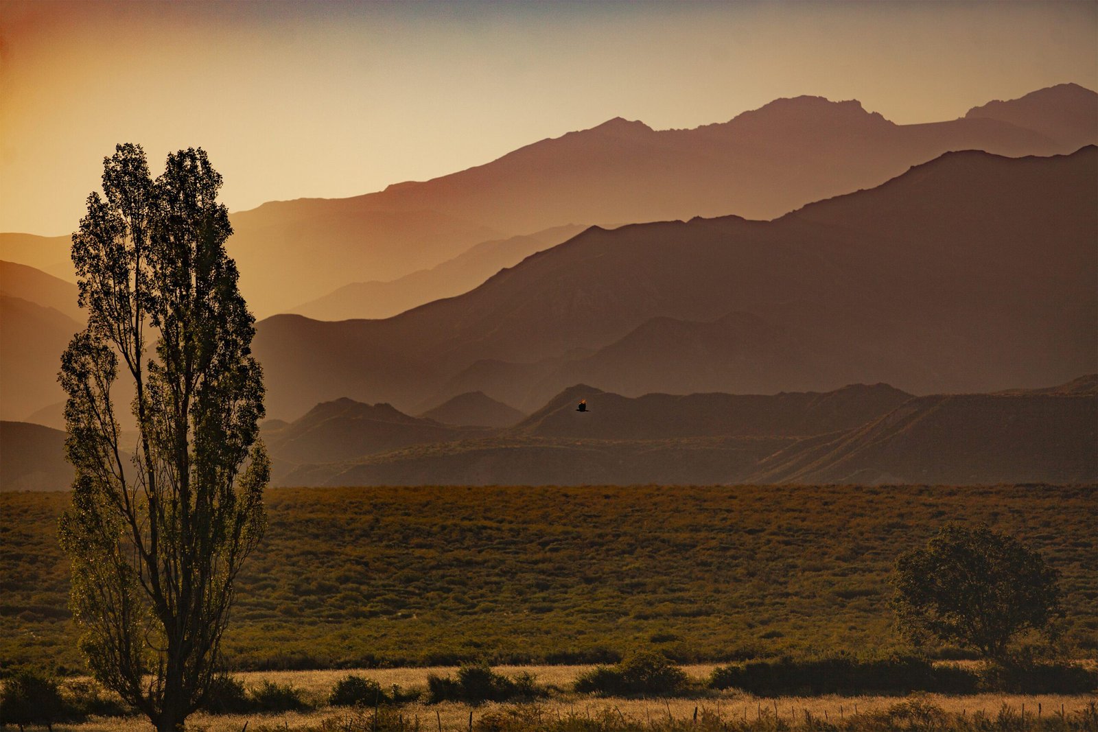 A serene and majestic landscape. Mountains silhouette against the sunset sky, bathed in warm golden hues. This scene captures the essence of tranquility and beauty, offering a moment of serenity that is truly irreplaceable. Unique objects with exclusive photos